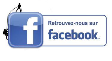 Facebook-logo-fr2
